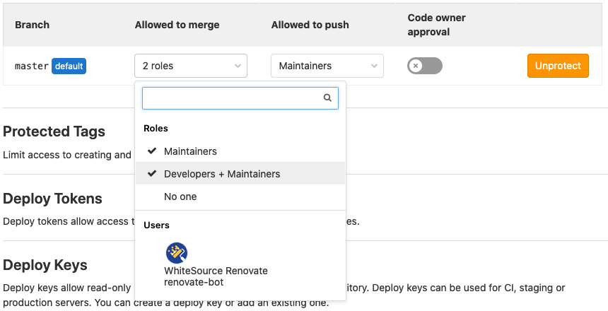 Allow renovate-bot merge permission